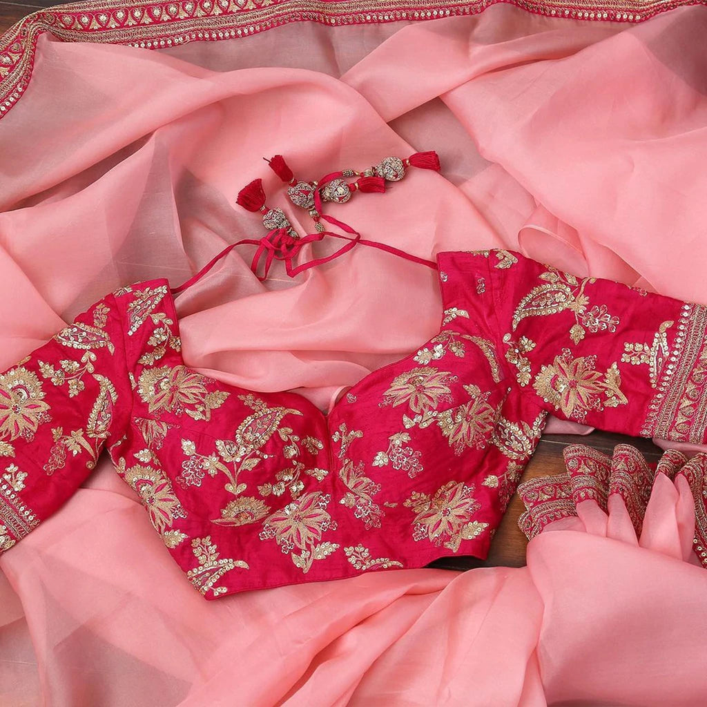 Organza Saree with Lace Border and Embroidery Work with Dashing Silk Blouse
