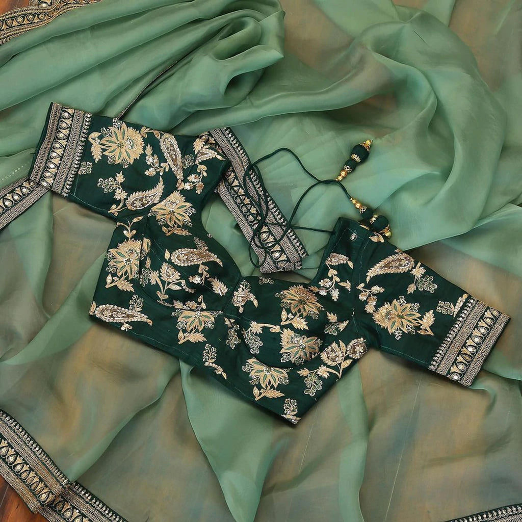 Organza Saree with Lace Border and Embroidery Work with Dashing Silk Blouse