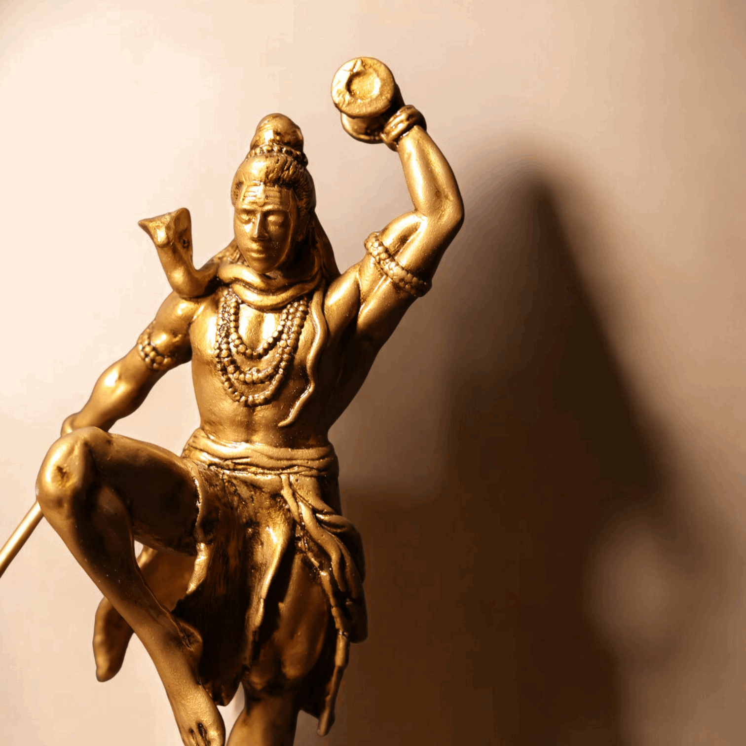 Shiv Ji Nirtya - Divine Dance.