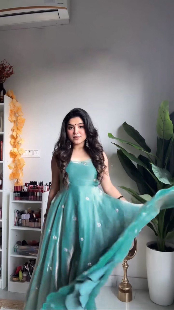 Sky Blue Eid Special Elegant Gown